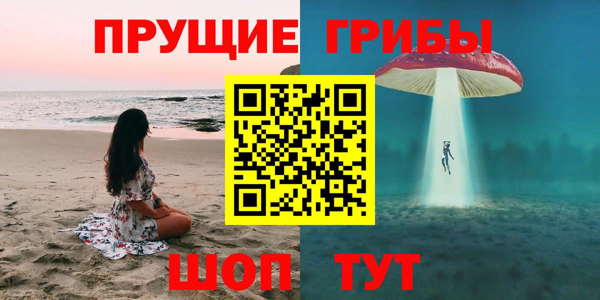 Галлюциногенные грибы Psilocybine cubensis  Вход с VPN  Горно-Алтайск 